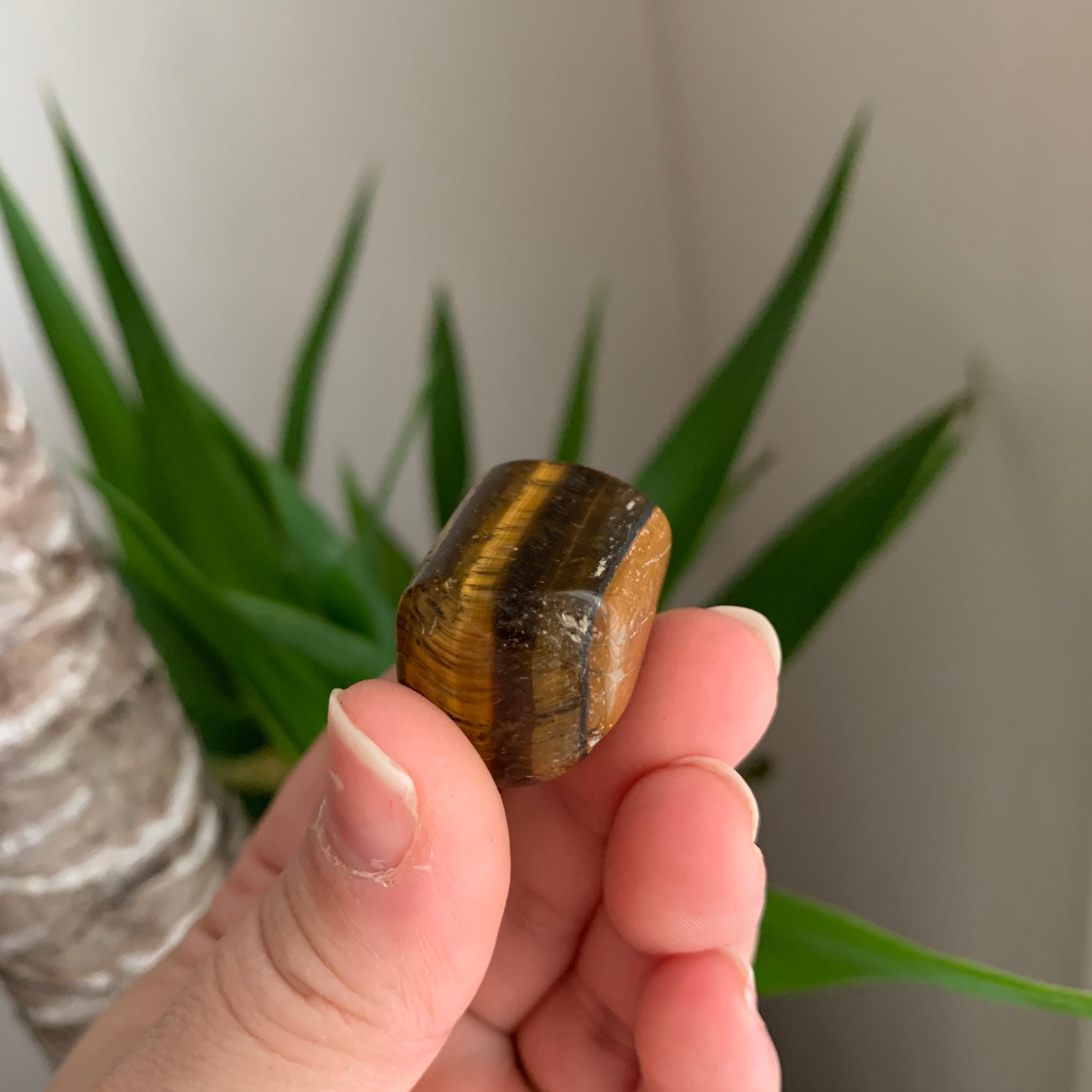 Tiger’s Eye tumbled