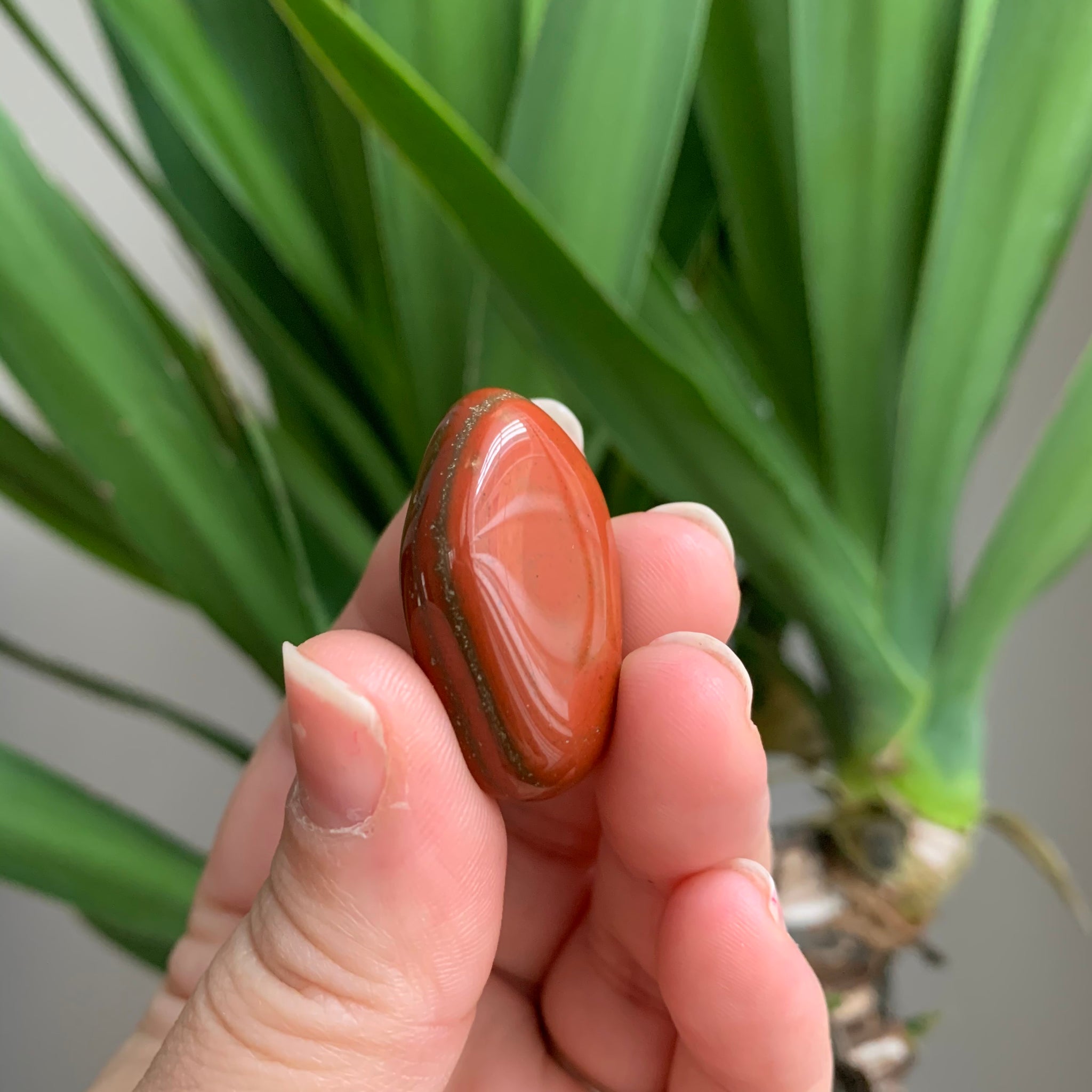 Red Jasper tumbled