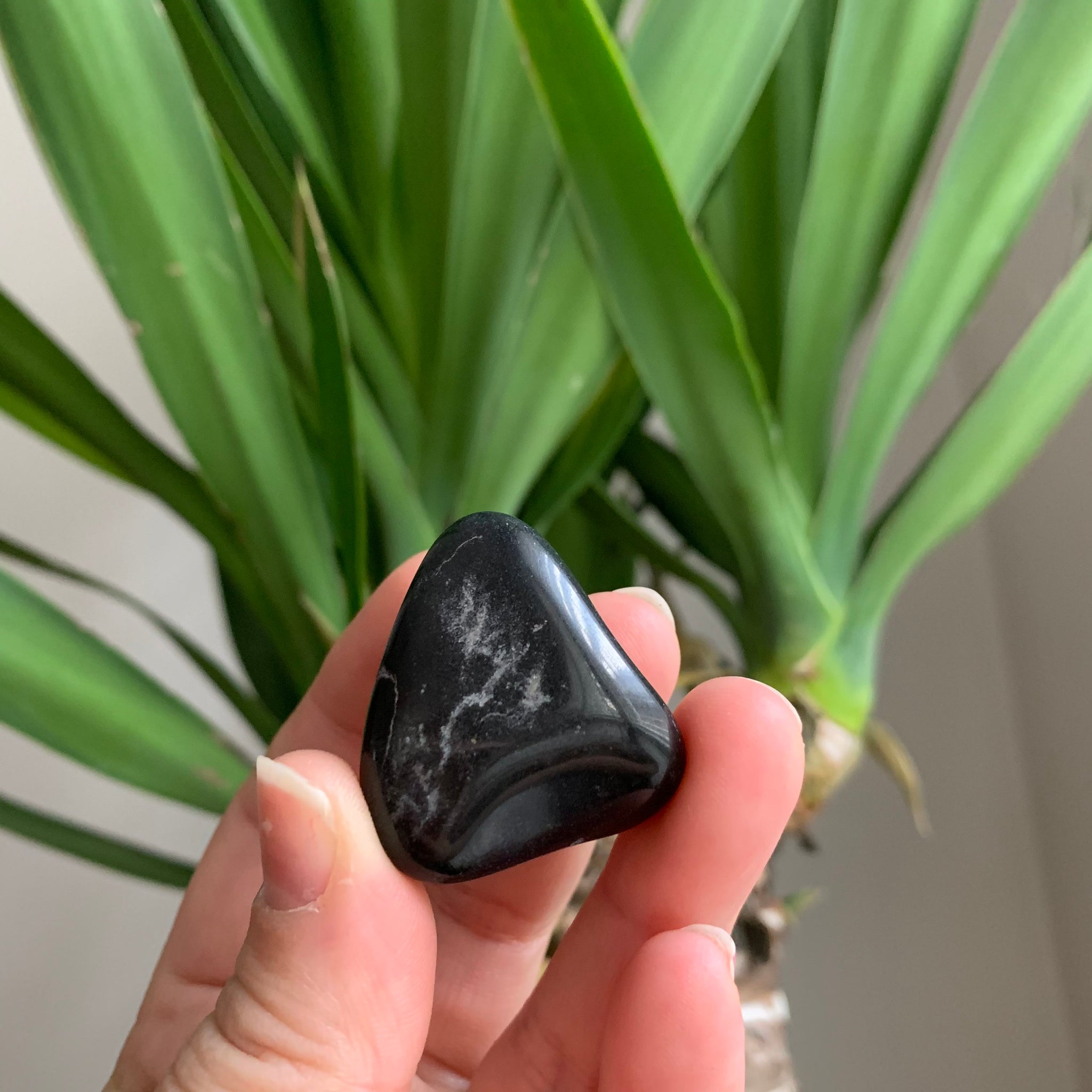 Black Agate tumbled